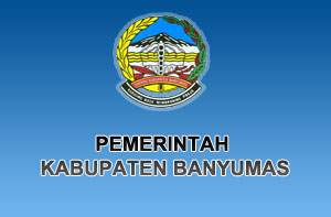 pelatihan website